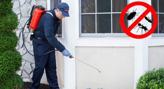 Malazgirt Gümüşkurt İlaçlama böcek ilaçlama ve haşere kontrolü — ilaclama-tr.com